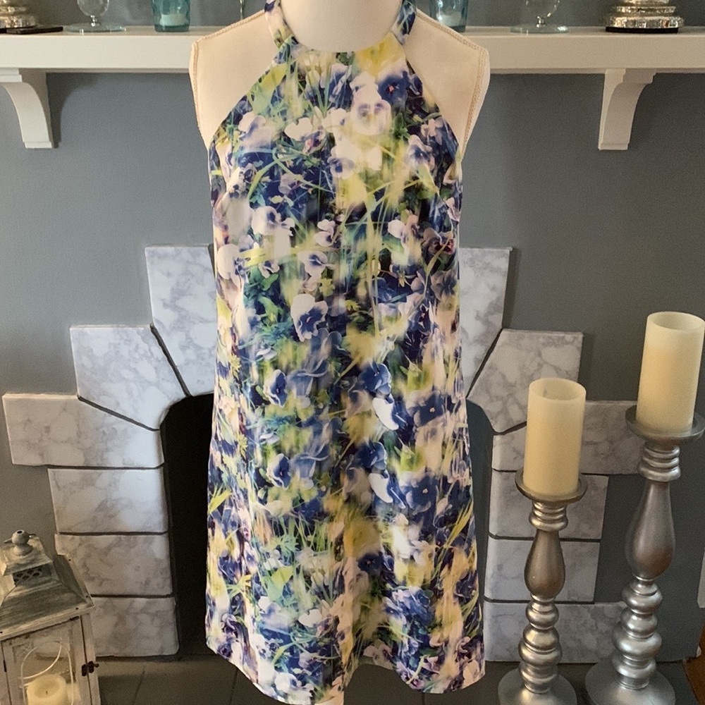 Charlie Jade Dress